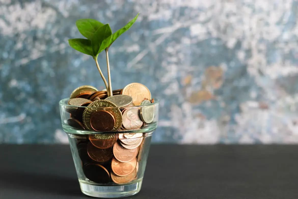 Financial Service